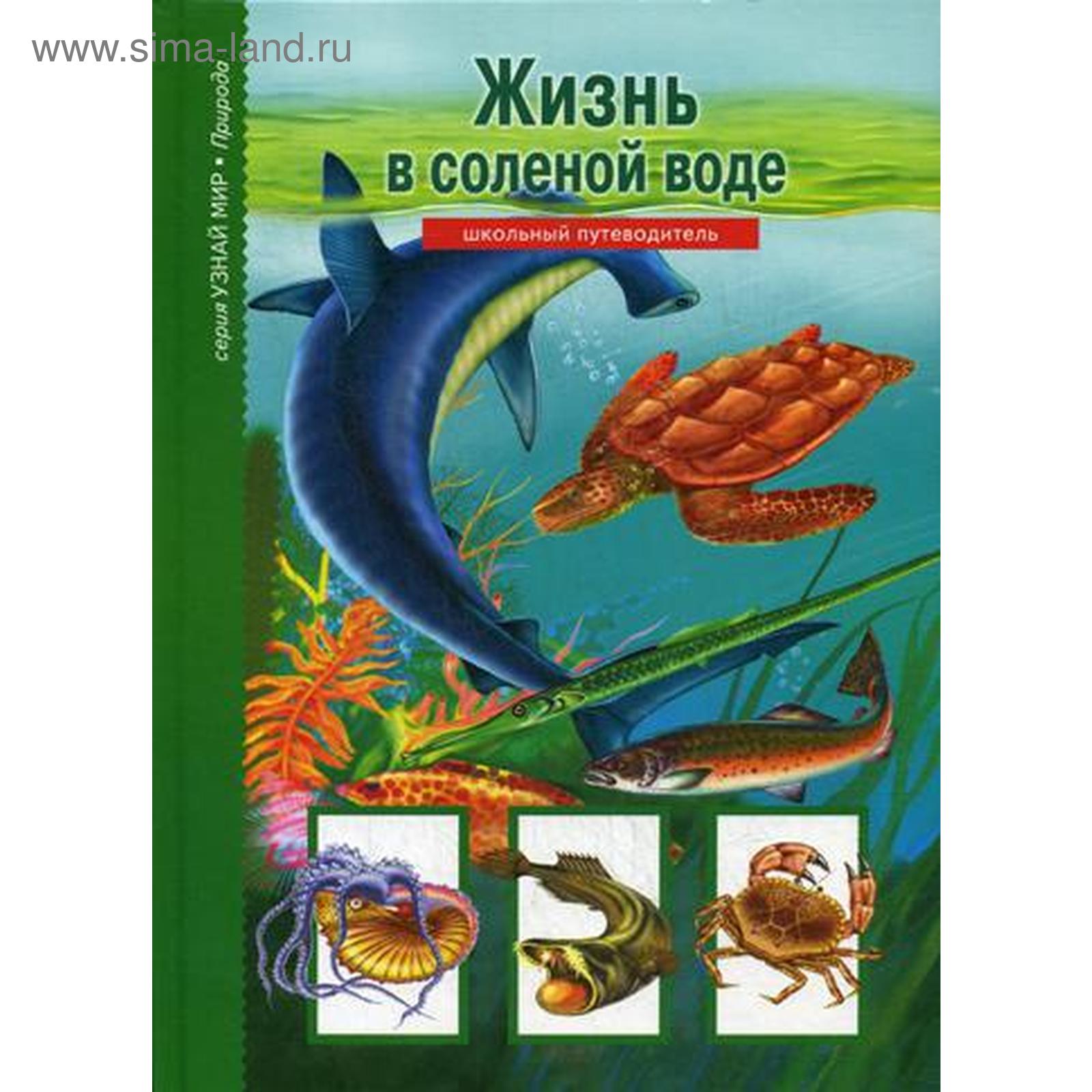 С Новым Годом Скоро Мы Увидим Атлантический С Новым Годом Скоро Мы Увидим Атлантический